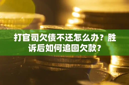 武汉打官司欠债不还怎么办？胜诉后如何追回欠款？