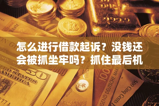 武汉怎么进行借款起诉？没钱还会被抓坐牢吗？抓住最后机会！