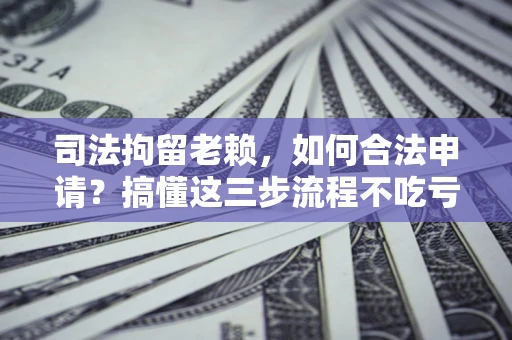 武汉司法拘留老赖，如何合法申请？搞懂这三步流程不吃亏！