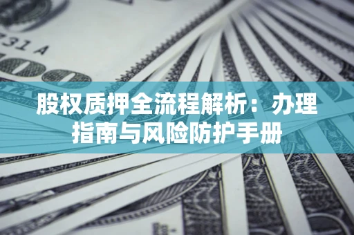 武汉股权质押全流程解析：办理指南与风险防护手册