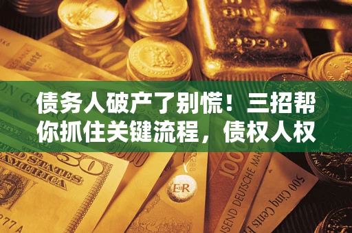 武汉债务人破产了别慌！三招帮你抓住关键流程，债权人权益不再缩水