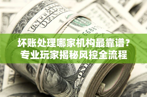 武汉坏账处理哪家机构最靠谱？专业玩家揭秘风控全流程