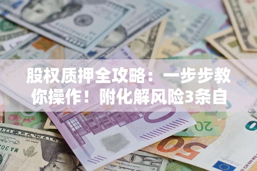 武汉股权质押全攻略：一步步教你操作！附化解风险3条自救法则