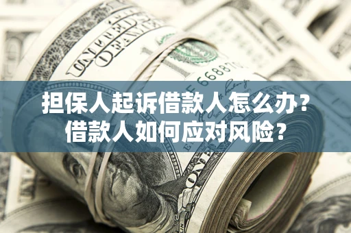 武汉担保人起诉借款人怎么办？借款人如何应对风险？