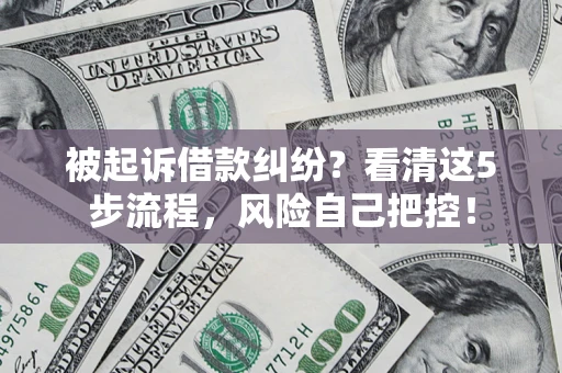 武汉被起诉借款纠纷？看清这5步流程，风险自己把控！