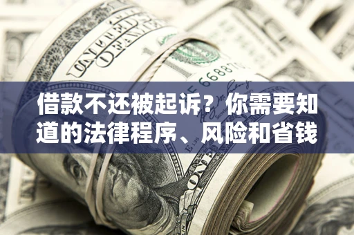 武汉借款不还被起诉？你需要知道的法律程序、风险和省钱技巧