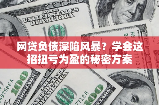 武汉网贷负债深陷风暴？学会这招扭亏为盈的秘密方案