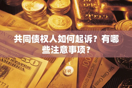 武汉共同债权人如何起诉？有哪些注意事项？