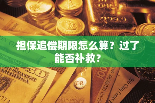武汉担保追偿期限怎么算？过了能否补救？